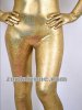 2011 New Golden Shiny Metaillic Zentai Catsuit